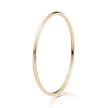 BNH Bangles in silver, 8 and 14 carat gold - and in white gold